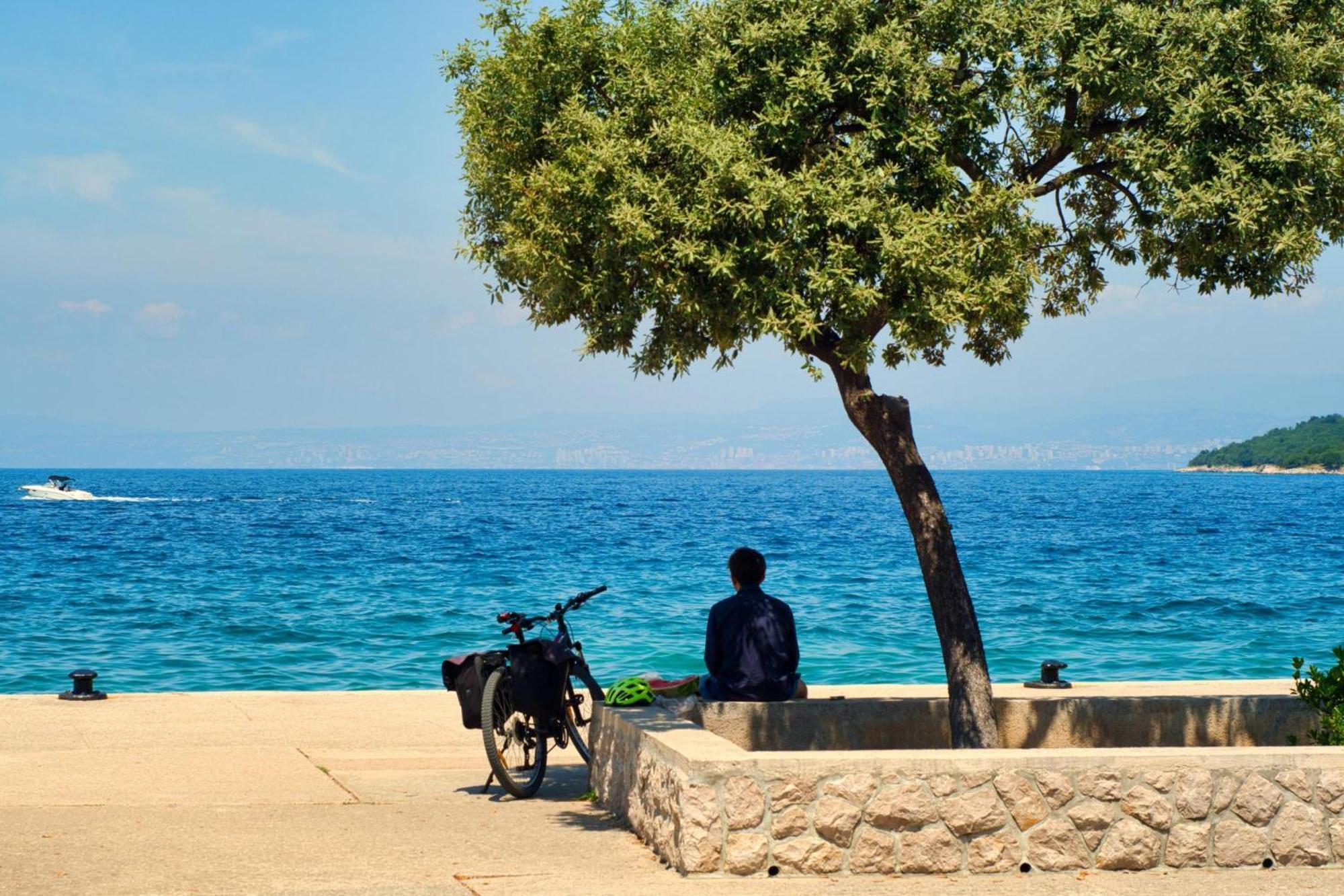 Apartman Brankica Island Vantacici Bagian luar foto